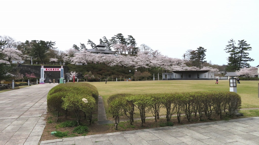「本荘公園」桜まつり つか坊の自由研究